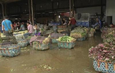 菜價(jià)持續(xù)走低，應(yīng)季蔬菜批量上市成主因