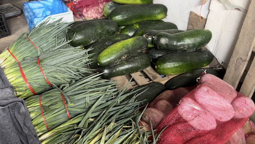 蔬菜價格高位運行，專家預測九月上旬將回落