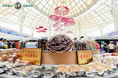 云南南華 菌旅與鮮果，邀您解鎖別樣清涼暑期